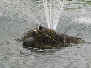 Warum unbedingt hier???